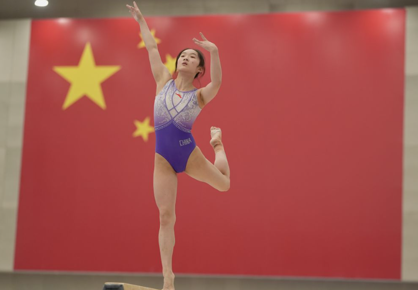 百家乐游戏成功案例与失败教训